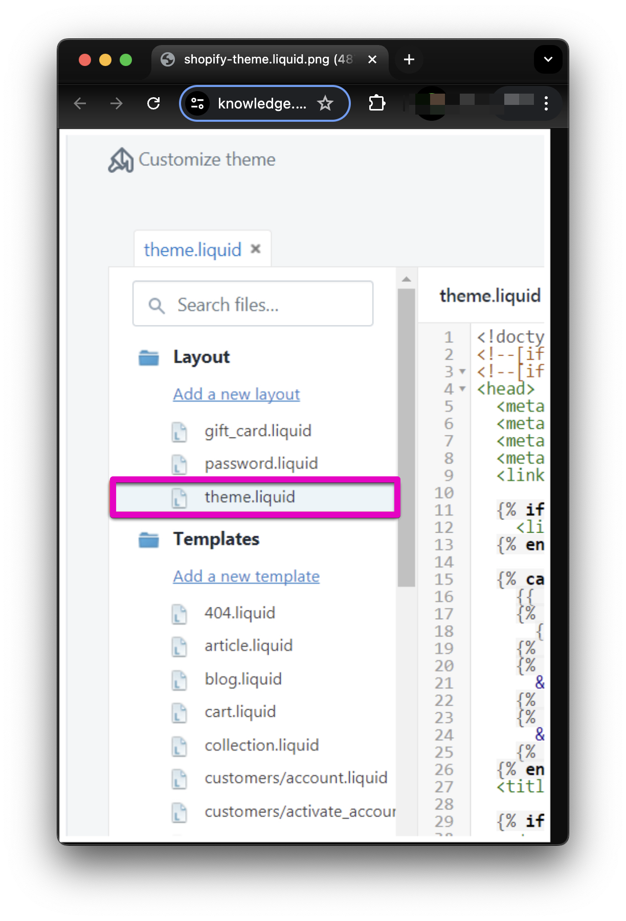 Add Cobrowse to your Shopify Website