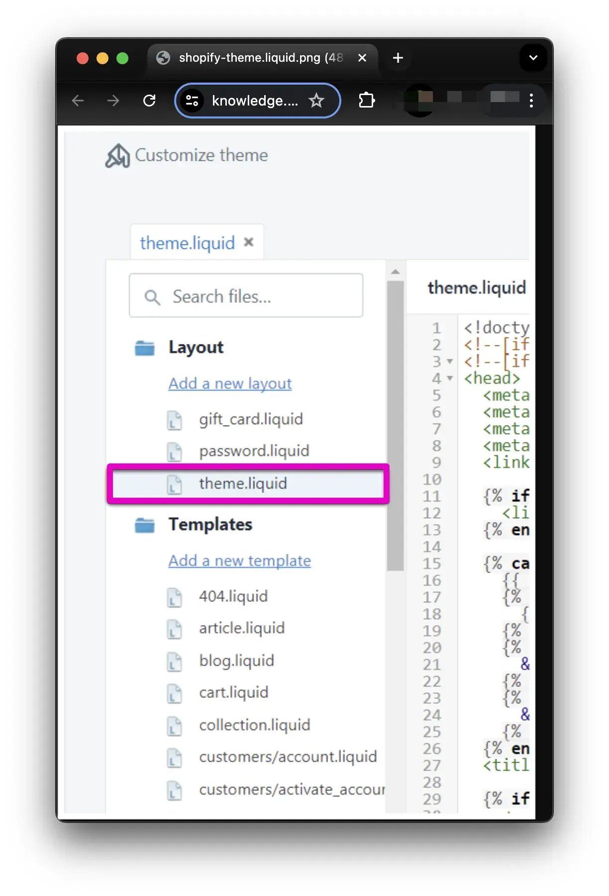 Add Cobrowse to your Shopify Website