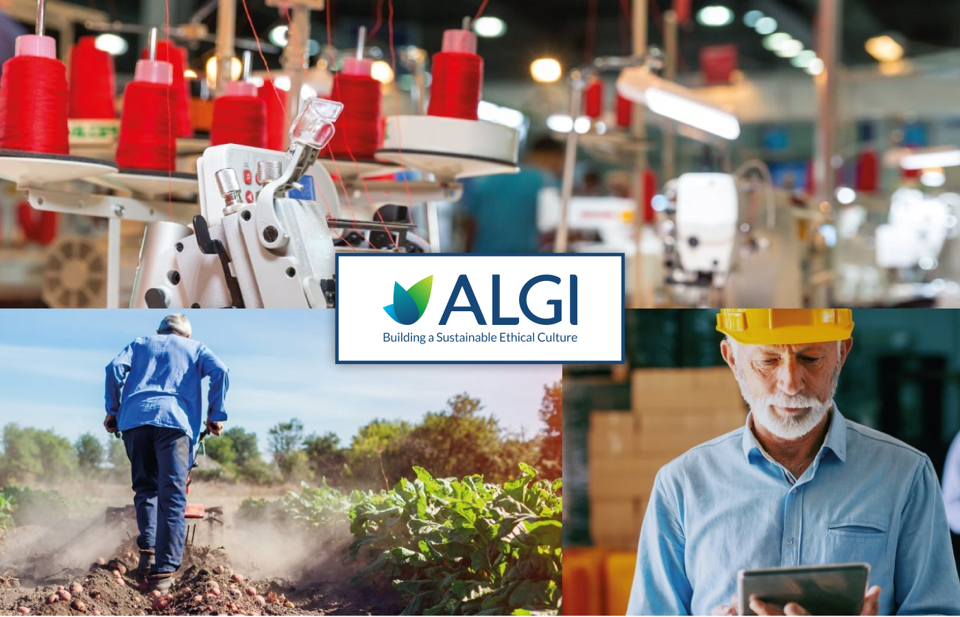Algi1