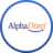 Claims Operations Team, Alpha Direct Insurance