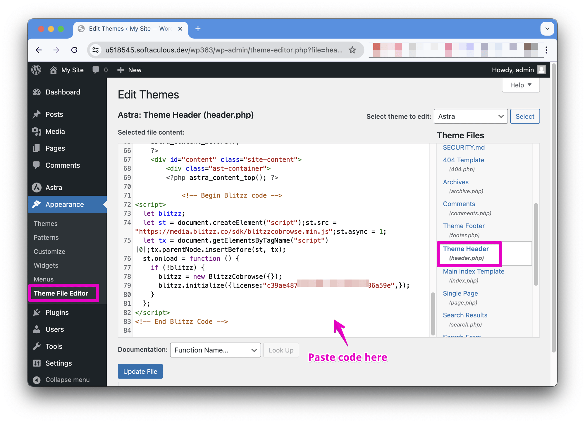 Cobrowse Embed code in Wordpress header