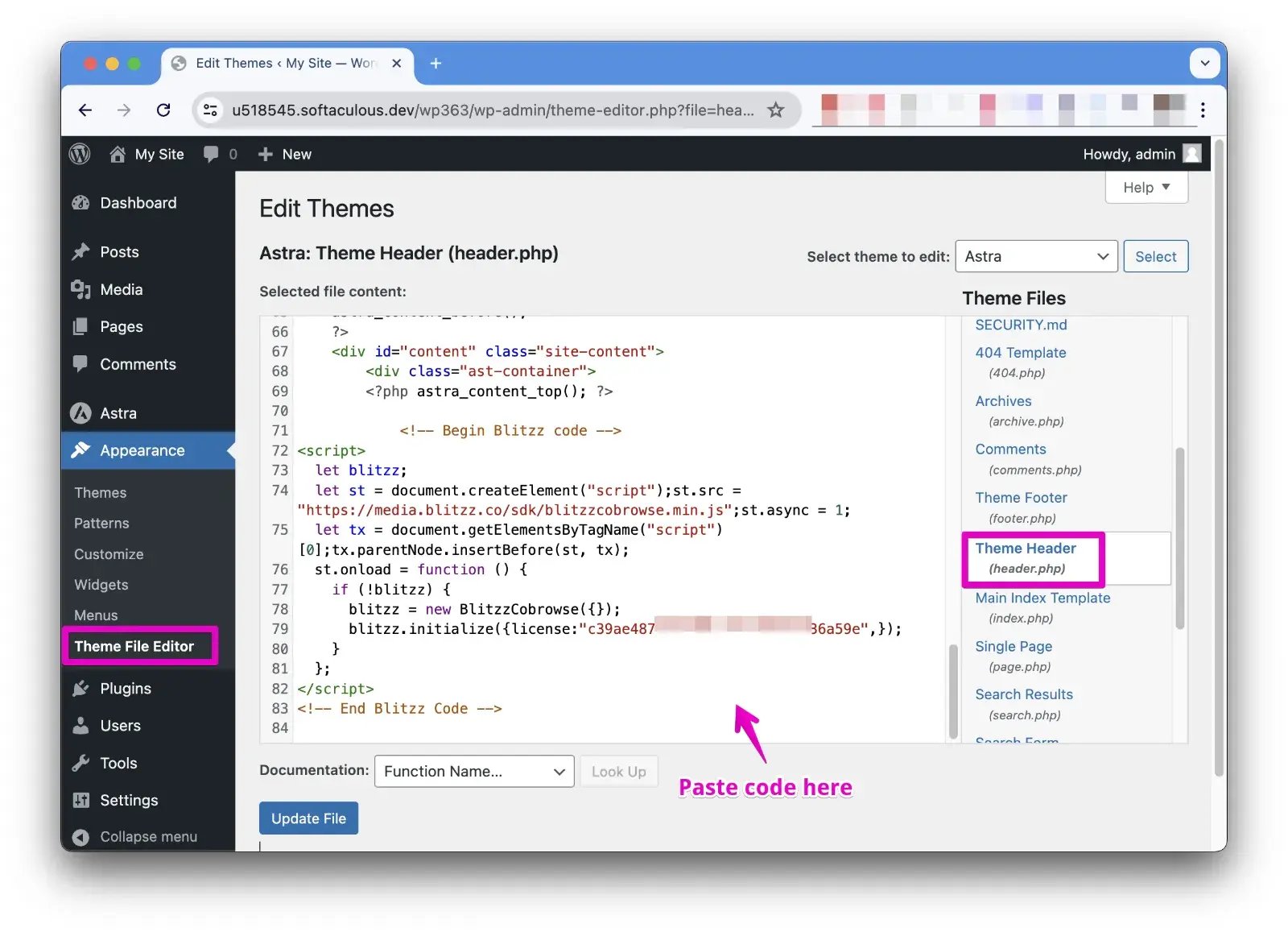 Cobrowse Embed code in Wordpress header