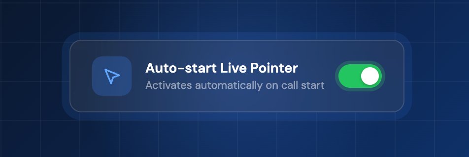 auto start live pointer for video inspetion software