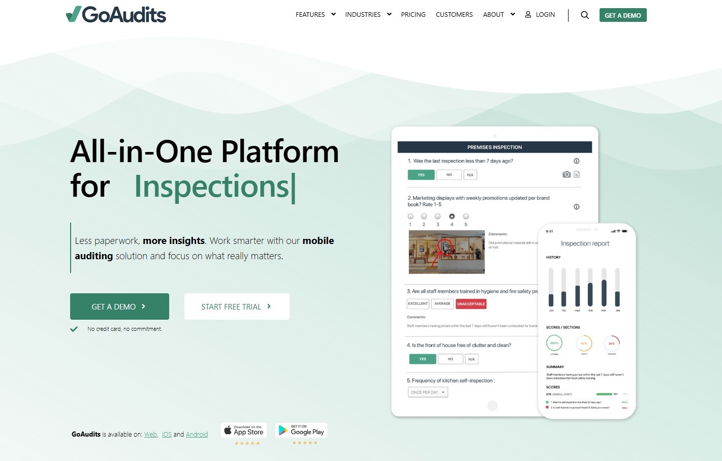 go audits video inspection software