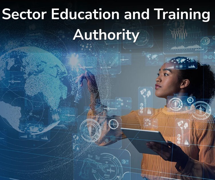 government virtual inspection software
